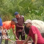 TRUCK PENGANGKUT BUAH KELAPA SAWIT SERUDUK AVANZA DI PANGKATAN LAB BATU