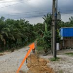 Forkopimda Dukung Program PWI Peduli Lingkungan dan Vaksinasi