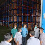Buruknya Tata Kelola Di PTPN III Kebun Pulau Mandi, Distrik Asahan Akibatkan Areal Tidak Terawat 
