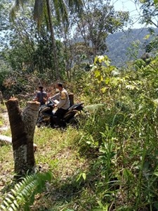 Oknum Petugas Bumdes Suga-Suga Huta Godang Kec. Pasaribu Tobing Kab. Tapteng Diduga Merusak Kebun Karet Warga  *H. P. Daulay MSi : Yang Dipanggil Polisi Tidak Datang, Bisa Jemput Paksa