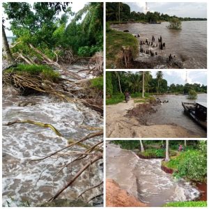 PULAU RUPAT TINGGINYA GELOMBANG LAUT HINGGA ABRASI PANTAI 8-10 M PER TAHUN PADA TITIK RAWAN GELOMBANG,PANTAI ABUK TELUK TUNGKU DESA DARUL AMAN HANCUR