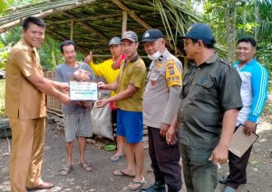 PEMDES DUNGUN BARU KEC.RUPAT ” ACHENG,S.Pd” SERAH TERIMA 50 EKOR BABI DAN KAMBING TERNAK KEPADA 10 KELOMPOK TERNAK KETAHANAN PANGAN/HEWANI, DANA DESA T.2022 