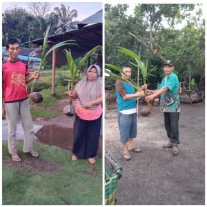 Melalui BKK Dana Bermasa TA 2022,Pemdes Darul Aman Serahkan Bantuan 588 Bibit Kelapa Hibrida    