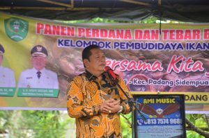 Walikota Sidempuan Hadiri Panen Perdana dan Tebar Benih Ikan Lele, Warga Sihitang: “Terimakasih atas perhatian dan kehadiran pak Wali”