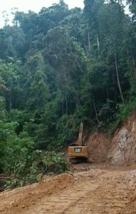 Gunakan Alat Berat Jenis Excavator,Di Duga Penggundulan hutan Kawasan   Dugaan Kuat Pembabatan Hutan Tampa izin