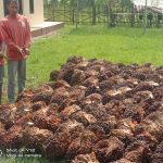 BPNT Otonom Rupat Bengkalis Bermasa Diduga Mar Up Diminta Penegak Hukum Tanggap Dugaan Korupsi Dana BPNT Otonom Dinas Sosial