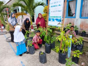 Guru SDN 10 Rupat,”Farida” Pimpin Murid Rawat Palawija Pada Polibag