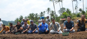 Tanam perdana bawang merah yang dilaksanakan di Desa Mompang, Kecamatan Padangsidimpuan Angkola Julu