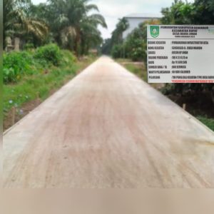 Pemdes Darul Aman Manfaat Dana Bermasa Lancar Bangun Infrastruktur Semenisasi Jalan Desa