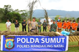 Perburuan 150 Ha Ladang Ganja oleh Polda Sumut Gunakan Teknologi Citra Satelit