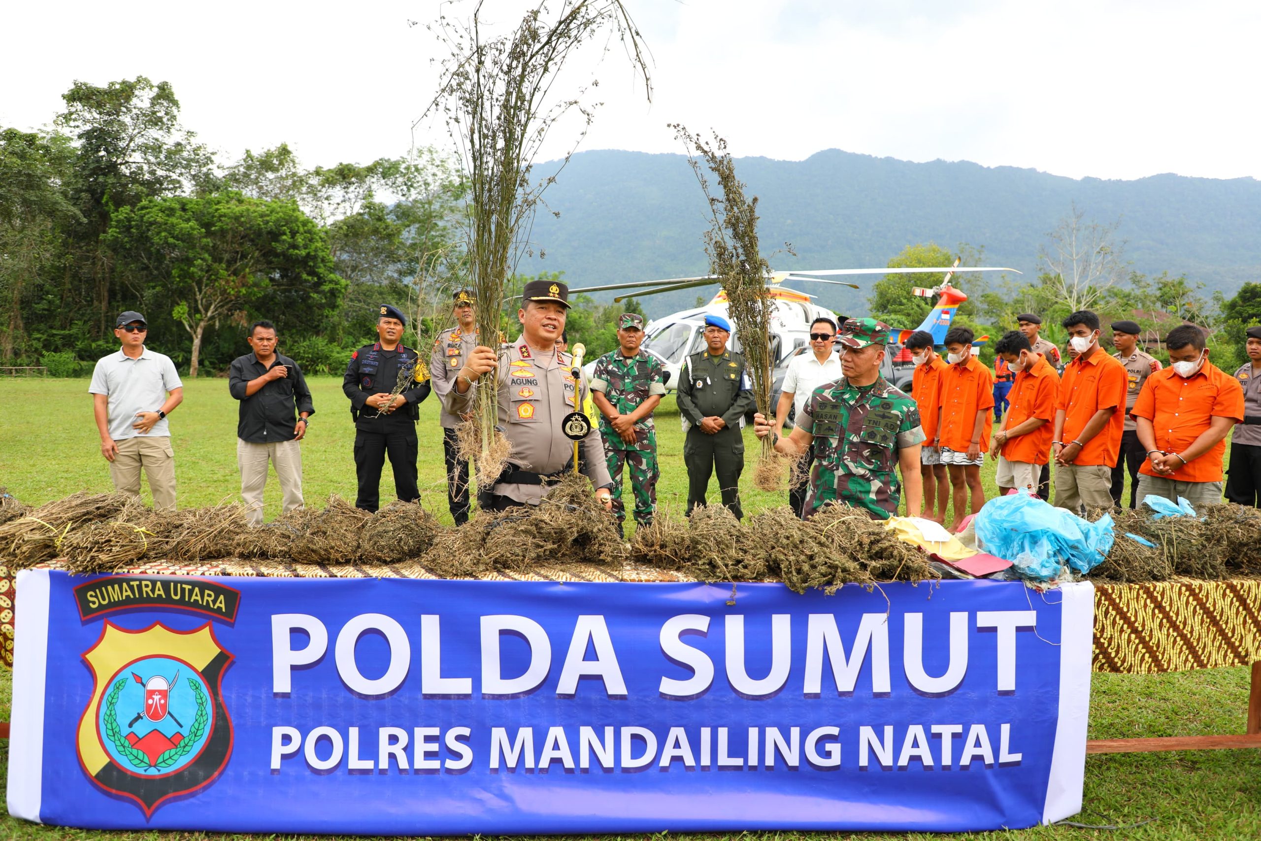 Perburuan 150 Ha Ladang Ganja oleh Polda Sumut Gunakan Teknologi Citra Satelit