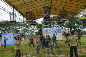 festival lomba burung berkicau