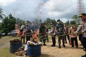 Pemko Padangsidimpuan bersama Polres Kota Padangsidimpuan melakukan pemusnahan barang bukti narkotika