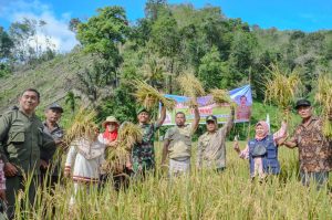 Pj. Walikota lakukan Panen Padi Sawah dari Kelompok Karya Tani di Kelurahan Silandit