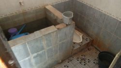 IMG-20250326-WA0004 IMG-20250326-WA0004