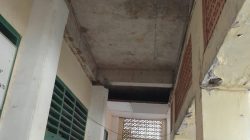 IMG-20250331-WA0100 IMG-20250331-WA0100